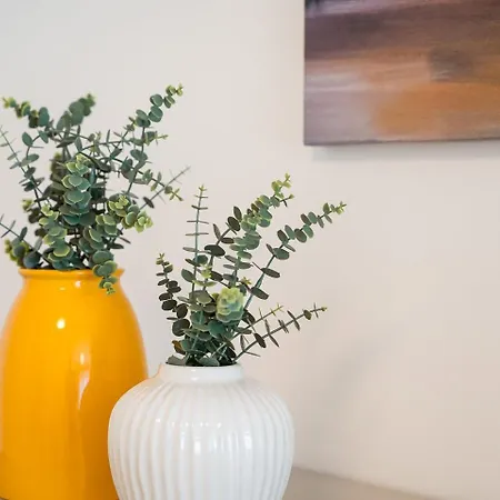 Guestready - Modern In Boavista